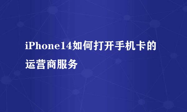 iPhone14如何打开手机卡的运营商服务