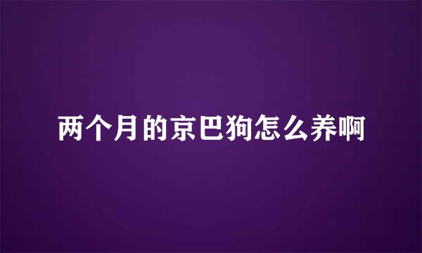 两个月的京巴狗怎么养啊