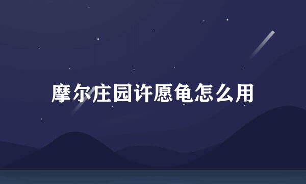 摩尔庄园许愿龟怎么用