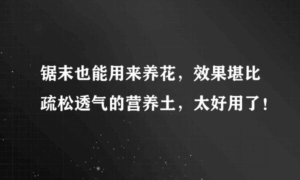 锯末也能用来养花，效果堪比疏松透气的营养土，太好用了！