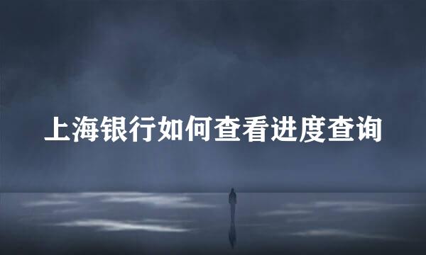 上海银行如何查看进度查询