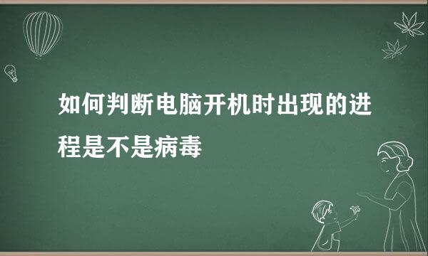 如何判断电脑开机时出现的进程是不是病毒