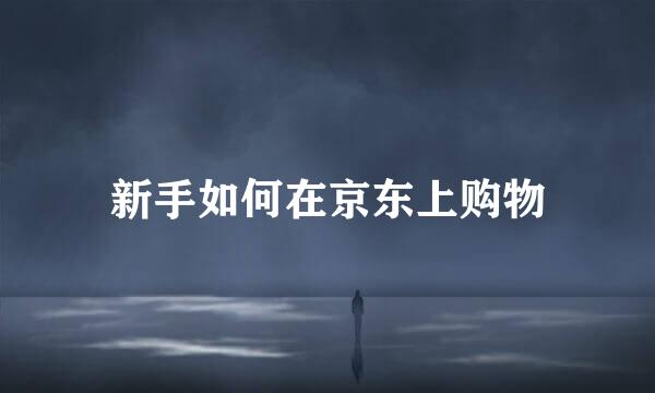 新手如何在京东上购物