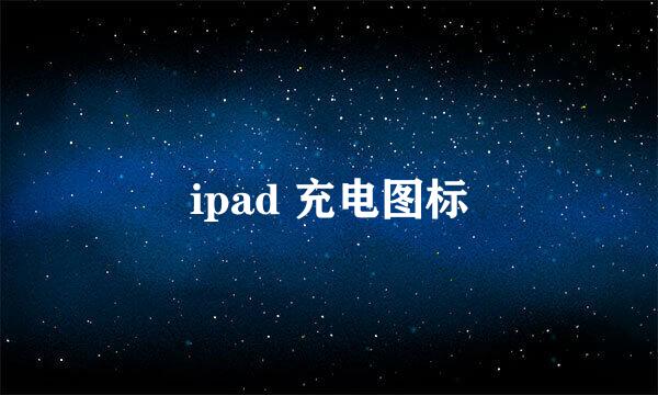 ipad 充电图标