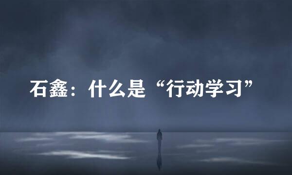 石鑫：什么是“行动学习”