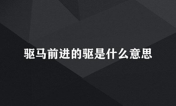 驱马前进的驱是什么意思