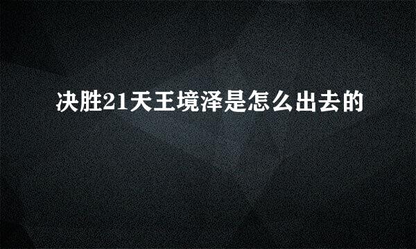 决胜21天王境泽是怎么出去的