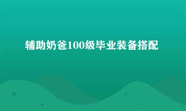 辅助奶爸100级毕业装备搭配