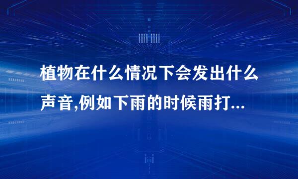 植物在什么情况下会发出什么声音,例如下雨的时候雨打在树叶上会有“沙沙”的声音