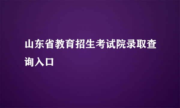山东省教育招生考试院录取查询入口