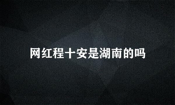 网红程十安是湖南的吗
