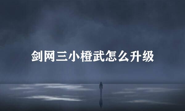 剑网三小橙武怎么升级