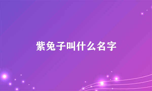 紫兔子叫什么名字