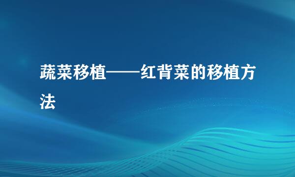 蔬菜移植——红背菜的移植方法