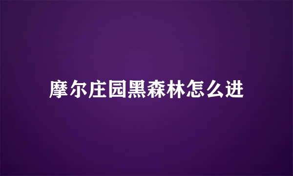 摩尔庄园黑森林怎么进