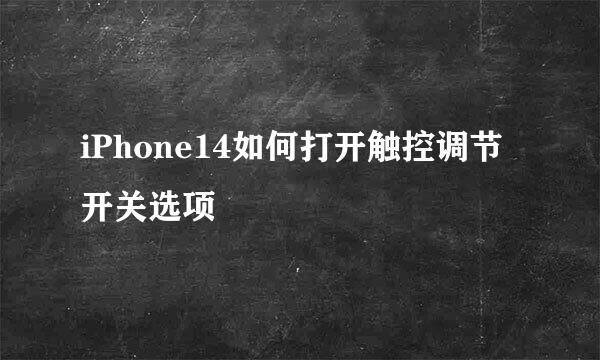 iPhone14如何打开触控调节开关选项