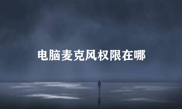 电脑麦克风权限在哪