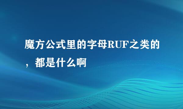 魔方公式里的字母RUF之类的，都是什么啊