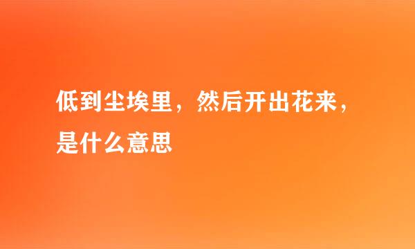 低到尘埃里，然后开出花来，是什么意思