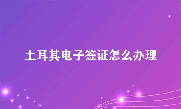 土耳其电子签证怎么办理