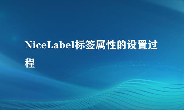 NiceLabel标签属性的设置过程