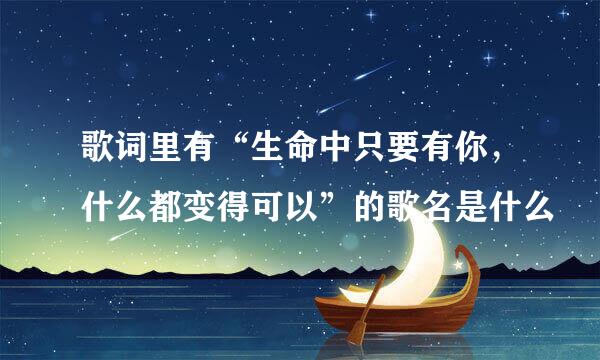 歌词里有“生命中只要有你，什么都变得可以”的歌名是什么