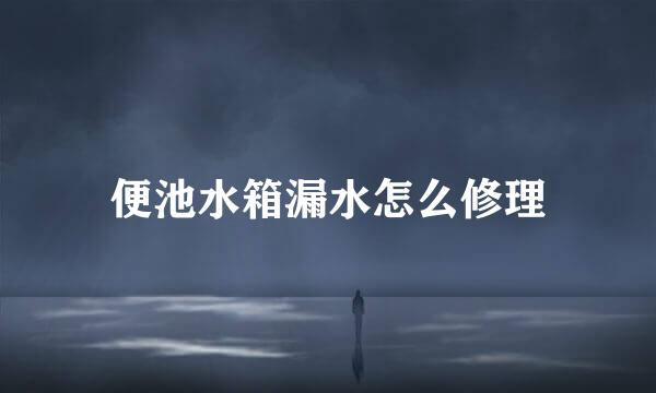 便池水箱漏水怎么修理