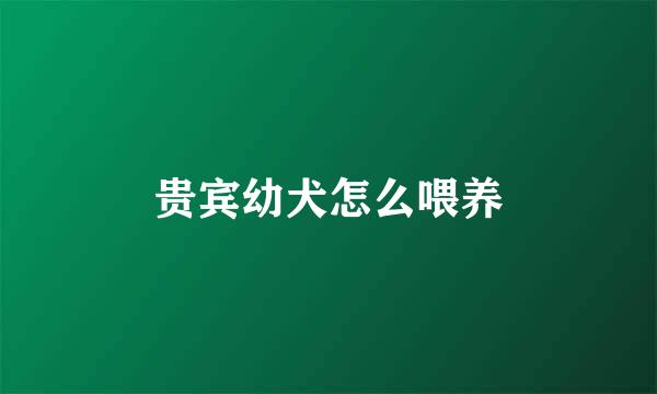 贵宾幼犬怎么喂养