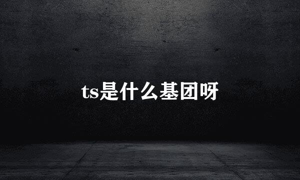 ts是什么基团呀