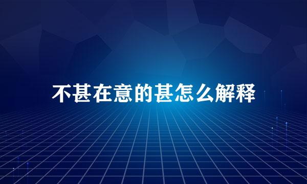 不甚在意的甚怎么解释