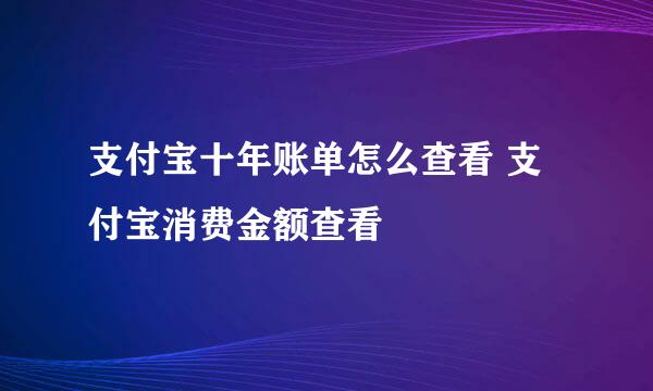 支付宝十年账单怎么查看 支付宝消费金额查看