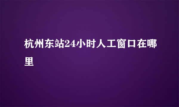 杭州东站24小时人工窗口在哪里