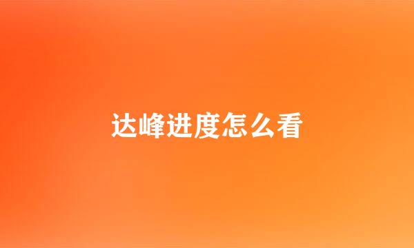达峰进度怎么看