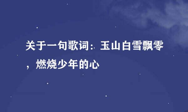 关于一句歌词：玉山白雪飘零，燃烧少年的心