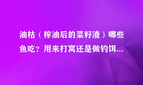 油枯（榨油后的菜籽渣）哪些鱼吃？用来打窝还是做钓饵？怎么弄