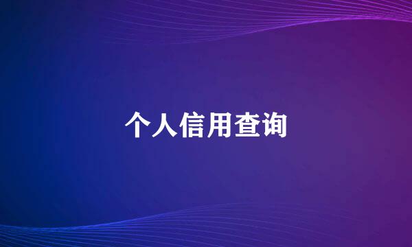 个人信用查询