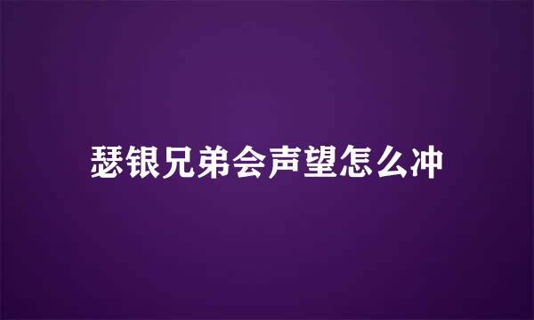 瑟银兄弟会声望怎么冲