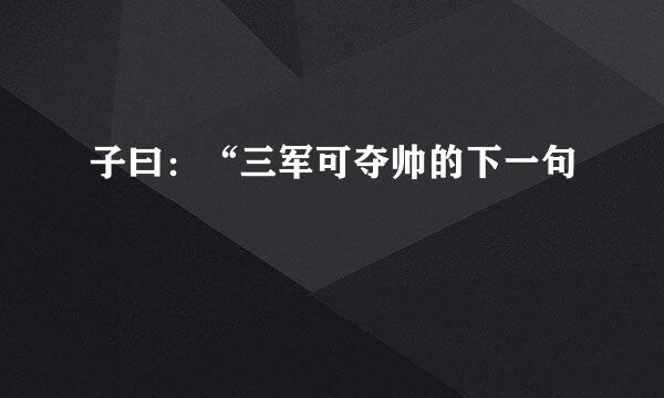 子曰：“三军可夺帅的下一句