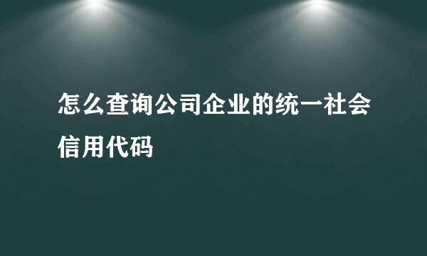 怎么查询公司企业的统一社会信用代码
