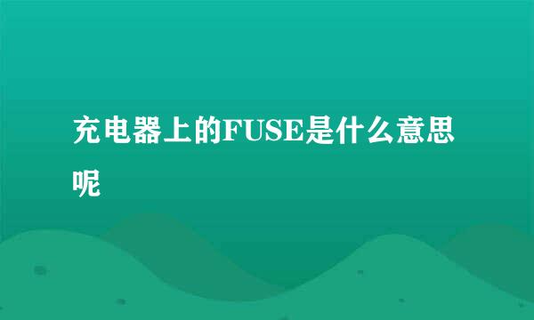 充电器上的FUSE是什么意思呢