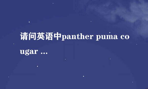 请问英语中panther puma cougar leopard jaguar的区别是什么