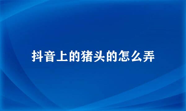 抖音上的猪头的怎么弄