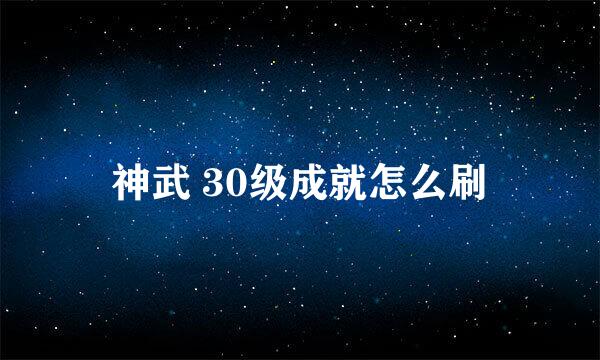神武 30级成就怎么刷