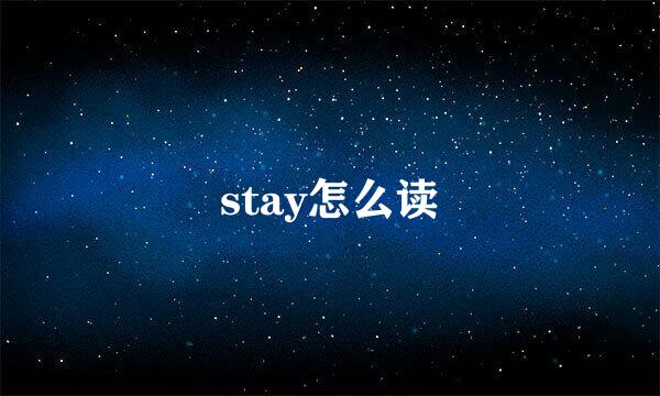 stay怎么读