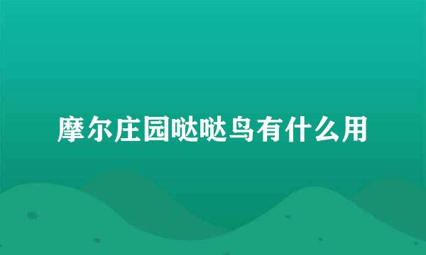 摩尔庄园哒哒鸟有什么用