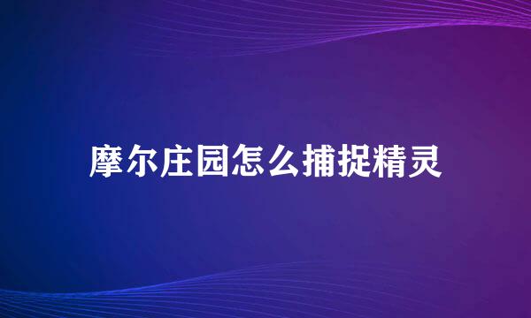 摩尔庄园怎么捕捉精灵