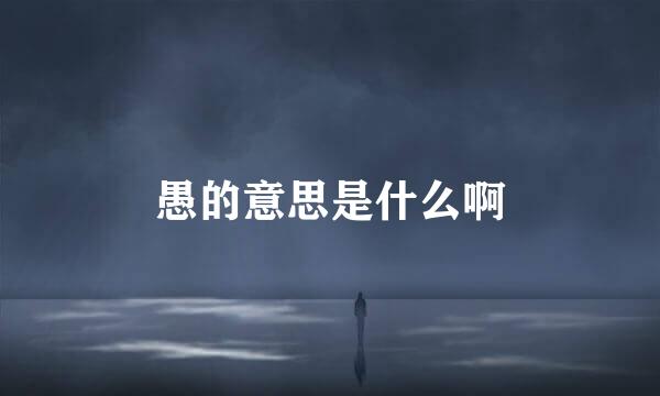 愚的意思是什么啊