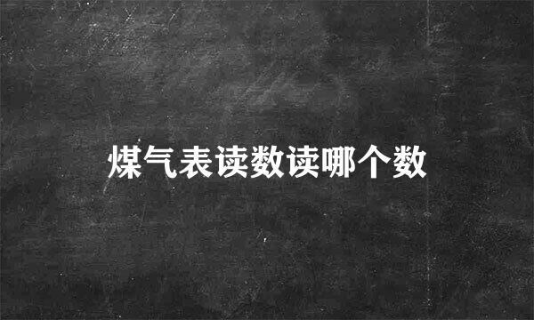 煤气表读数读哪个数