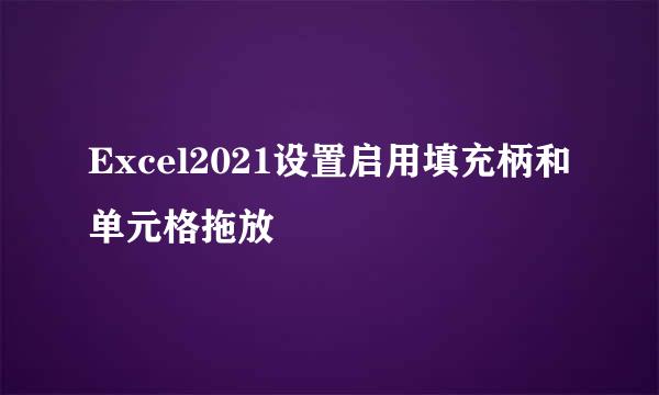 Excel2021设置启用填充柄和单元格拖放