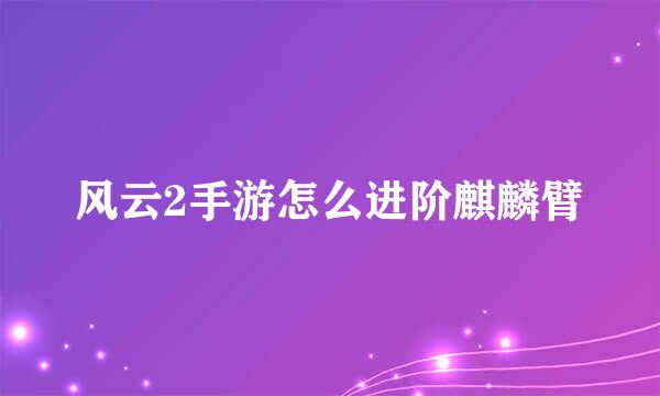 风云2手游怎么进阶麒麟臂